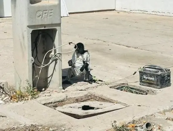 Hallan amarrado a un mono araña afuera de una vivienda en Ahome