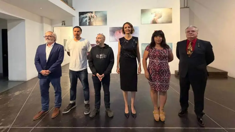 Presenta la Galería Libertad cuatro exposiciones en su quinta temporada de 2026