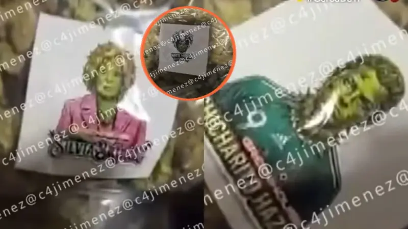 Estampas de Silvia Pinal y de Javier “Chicharito” Hernández servían como sello para identificar los paquetes de marihuana que una célula presuntamente ligada al CJNG almacenaba en un departamento rentado por Airbnb en la Condesa, CDMX