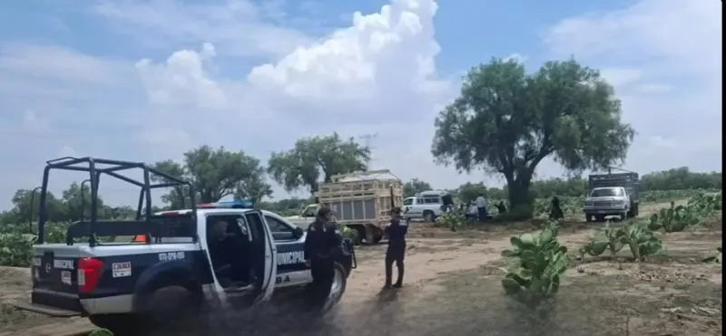 Dan golpiza a anciano de 90 años y le roban 53 borregos en Otumba