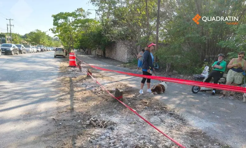 Empresa que taló maculís en Cholul pagó 586,000 pesos de multa