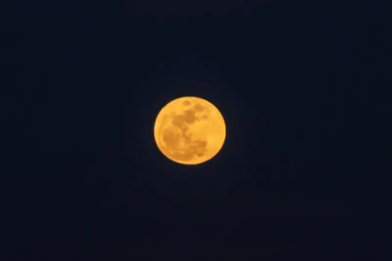 La noche perfecta para pedirle al universo: Luna Llena en Sagitario 2026