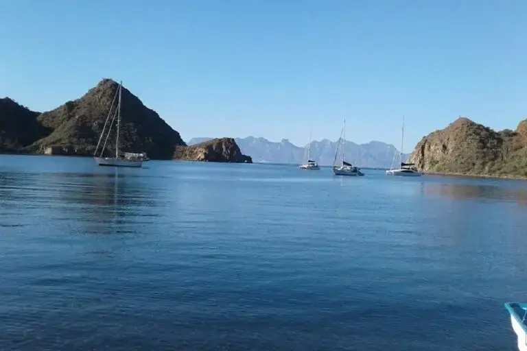 Bahía de Loreto frena los megacruceros: el decreto que puso en riesgo el santuario de la ballena azul