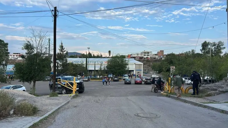 Enjambre de abejas pica a 7 en Unidad Maquío SJR