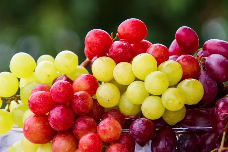 La fruta infravalorada: por qué las uvas son un escudo natural para tus arterias