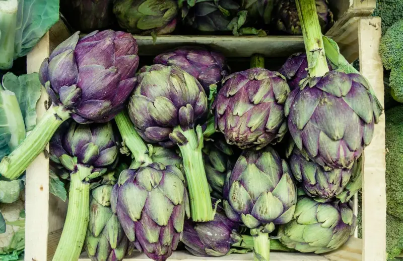 Alcaucil, el superalimento que regula tu digestión, tu hígado y tu energía