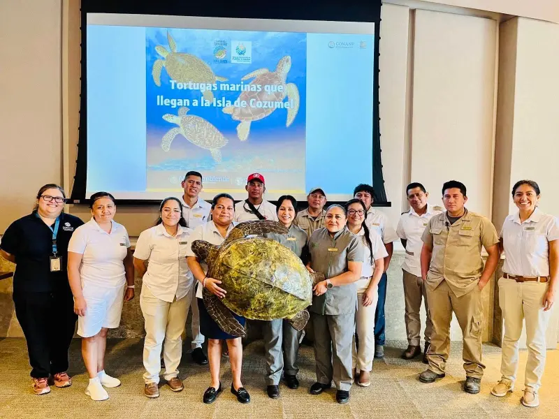 Hoteleros se ponen las pilas para salvar tortugas marinas en Cozumel