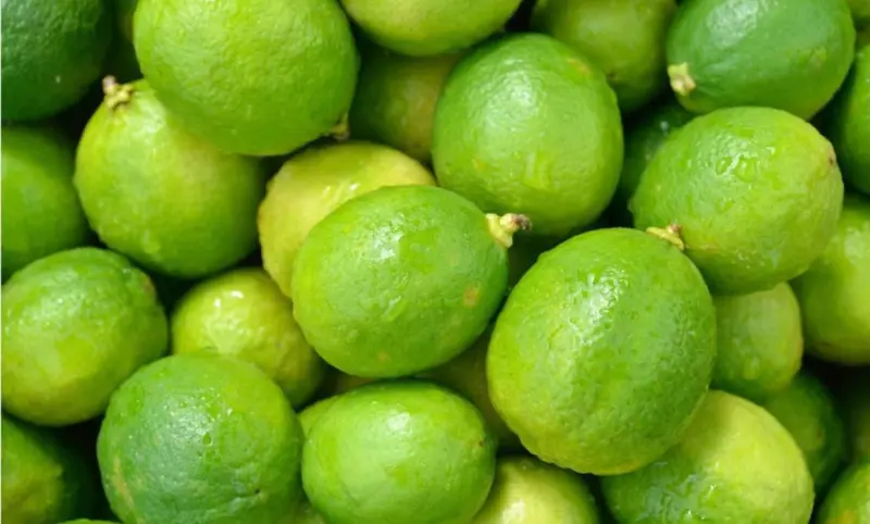 Producción de limón supera el millón de toneladas al año en Michoacán