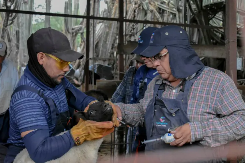Corregidora lleva Jornada de Salud Animal a la comunidad de La Cueva