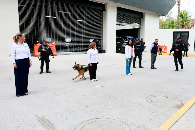 Visita Procuraduría de Protección de Niñas, Niños y Adolescentes del SMDIF las instalaciones de la SSC