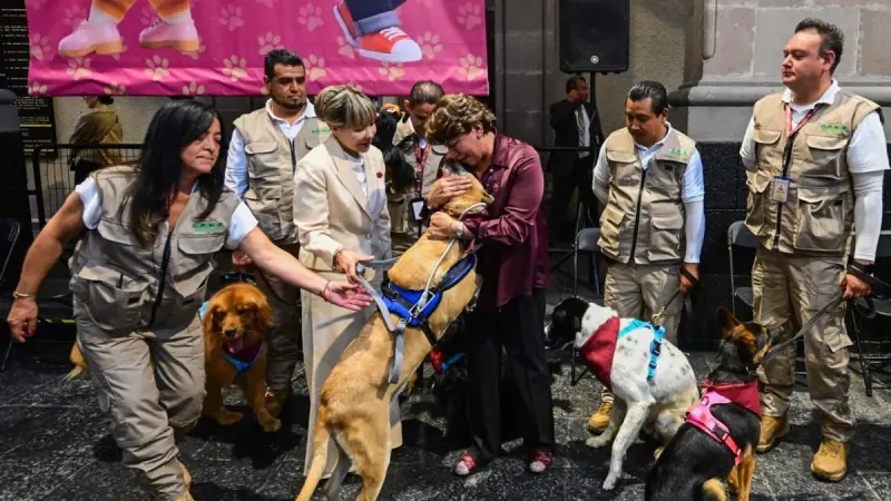 Multas de hasta 35,000 pesos y arresto de 36 horas: así castiga el Estado de México el maltrato animal