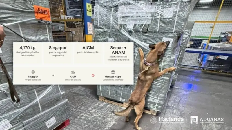 Llegaron desde Singapur camuflados en un cargamento de comercio exterior: así detectaron la Semar y Aduanas más de 4 toneladas de cigarrillos apócrifos que intentaban entrar al mercado negro mexicano por el aeropuerto de la Ciudad de México