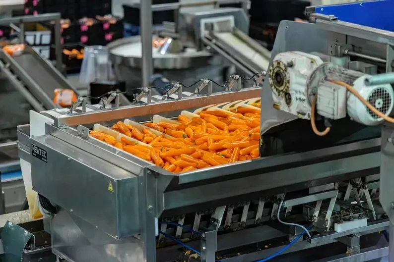 La tecnología neozelandesa detrás de las zanahorias
