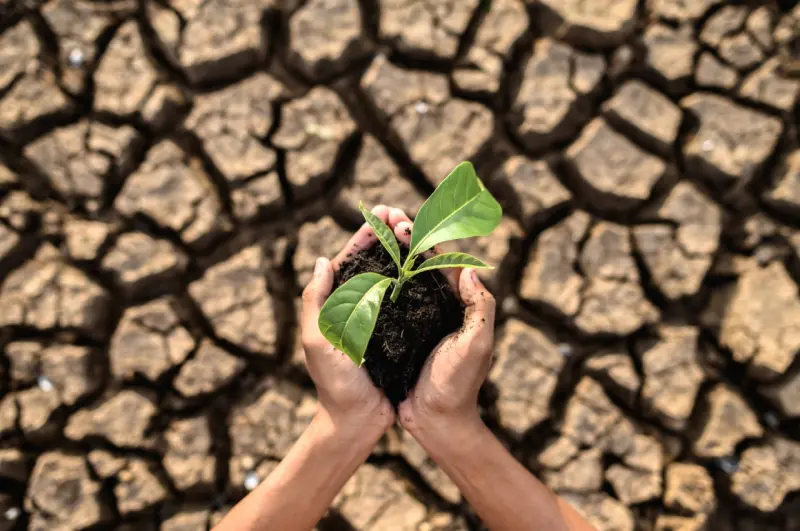 Identifican países latinoamericanos que sufrirían impacto de El Niño