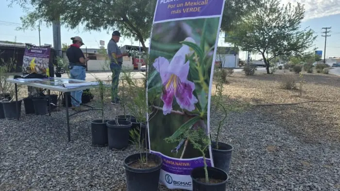 Buscan fortalecer la participación ciudadana en el cuidado del medio ambiente en Mexicali