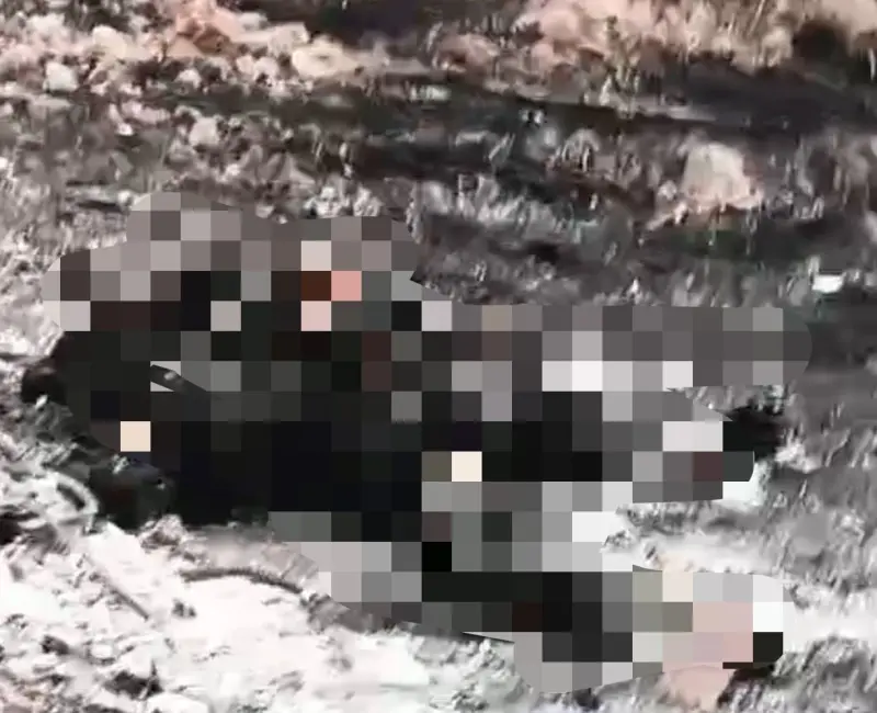Video.- Circulan imágenes de cuerpos ardiendo en llamas tras enfrentamiento