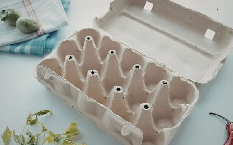Antes de desechar el cartón de la cartera de huevos, conoce 7 formas útiles de reutilizarlo en tu hogar