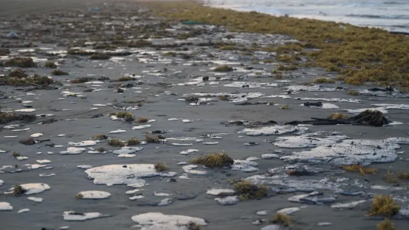 Greenpeace denuncia a Pemex por derrames en el Golfo de México