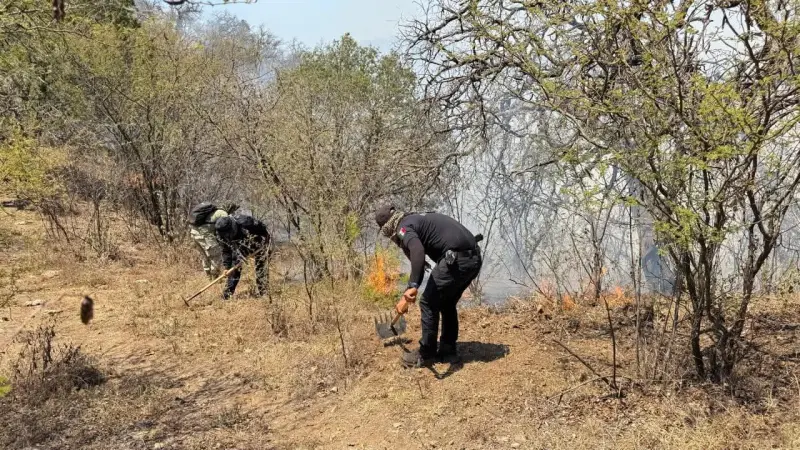 Gobierno de Sahuaripa envía agua, sueros y víveres a brigadistas que combaten incendios forestales en la región