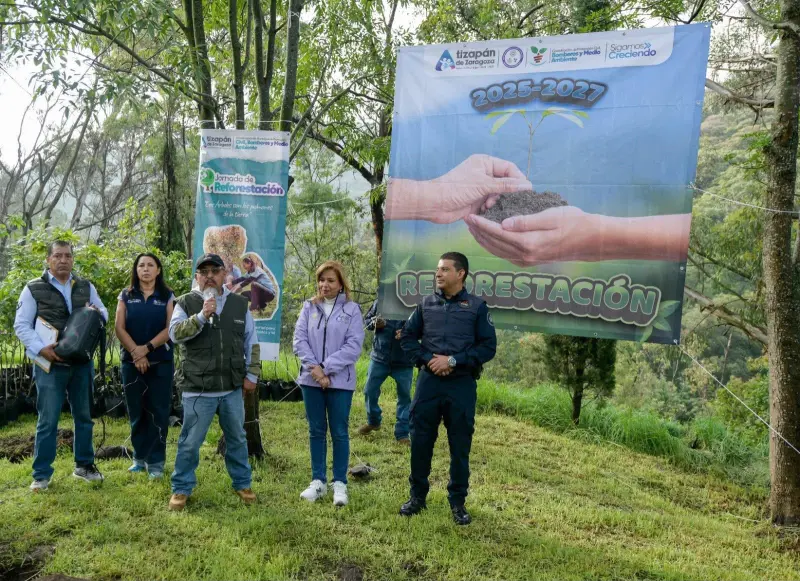 Planta Atizapán 200 encinos para fortalecer el Parque de los Ciervos