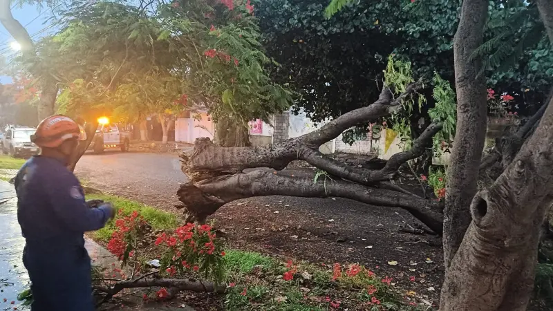 Coordina Gobierno de Oaxaca atención por lluvias en zona metropolitana