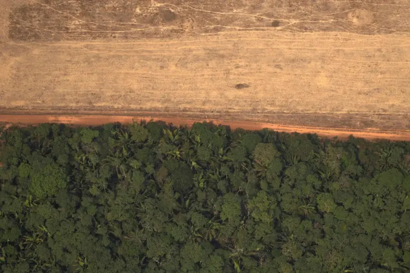 Cómo (no) conservar los bosques tropicales