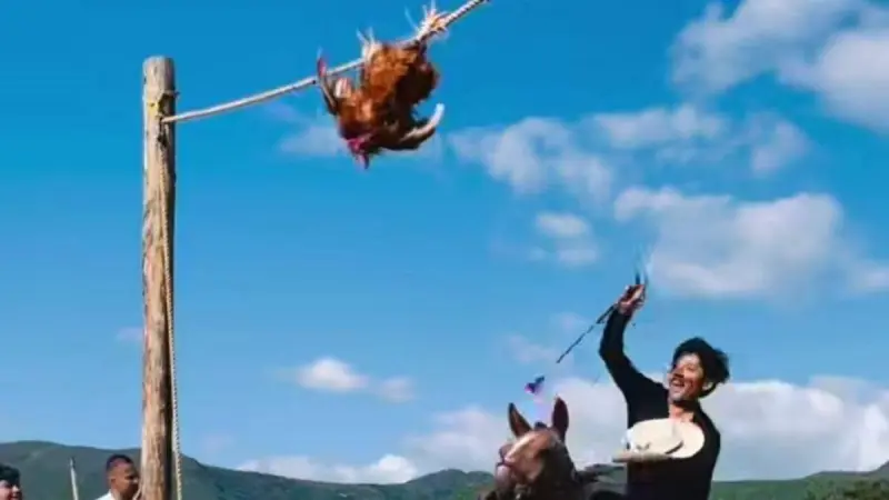 Cuestionan crueldad animal en carreras de caballos de Matatlán