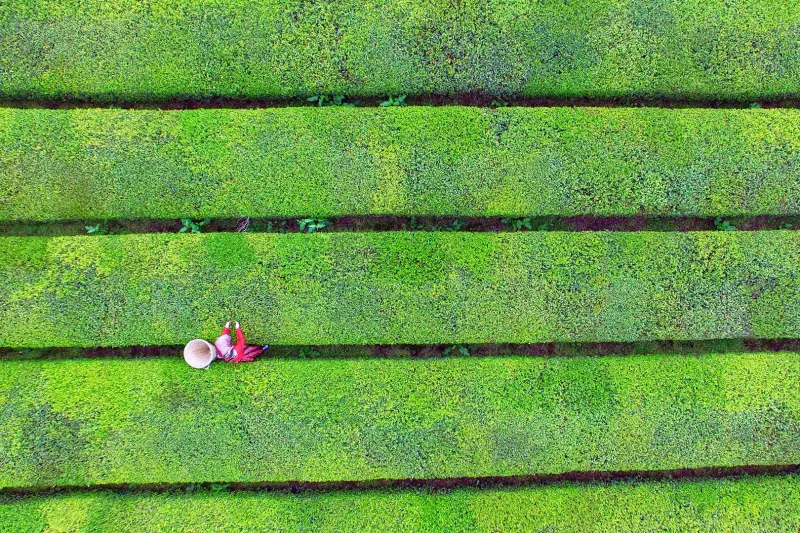 La Región del Mar Negro: el lado más verde de Turquía