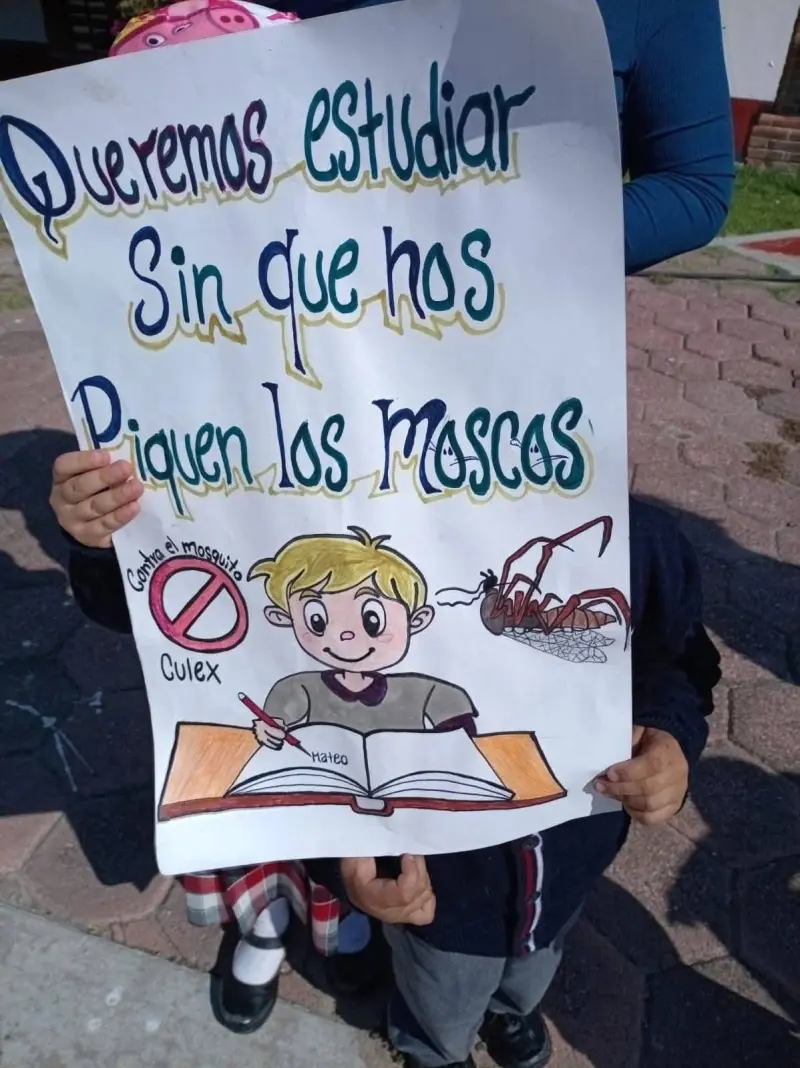 Mosco cúlex azota comunidades de la presa Endhó; exigen acciones