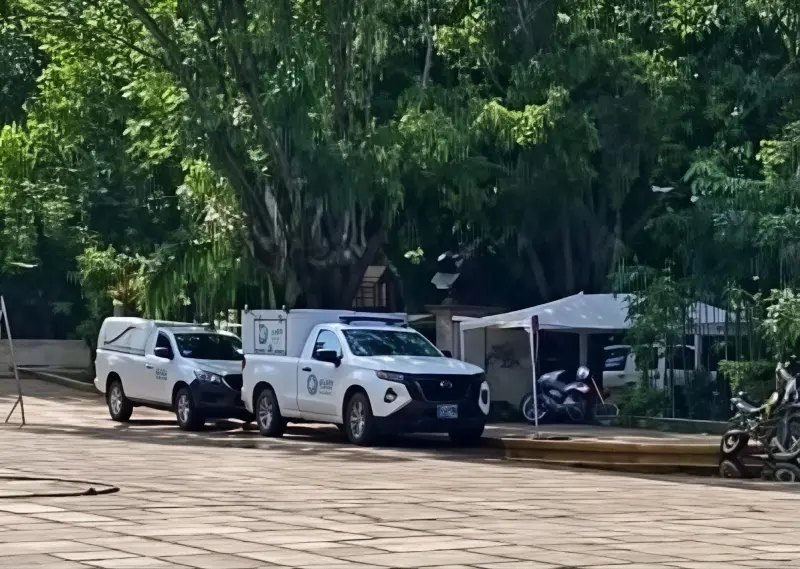 Ataque de abejas deja un hombre sin vida en Tamasopo