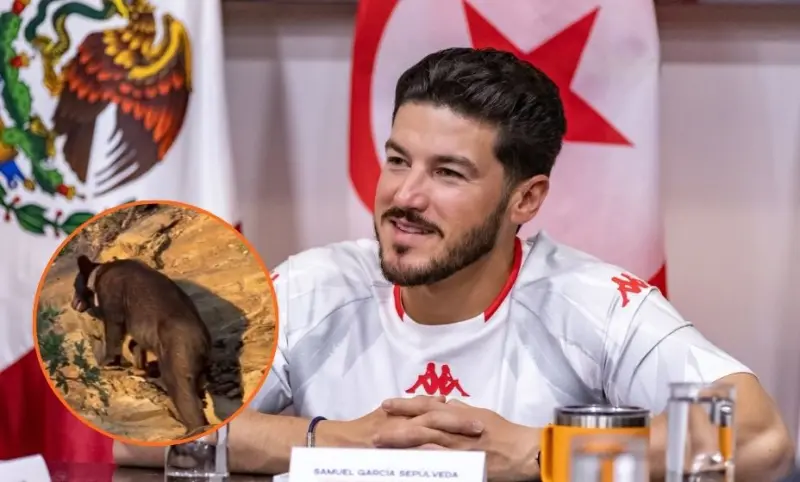 Comparte Samuel García encuentro con oso; llama a respetar la fauna silvestre