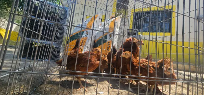 Anuncian ambicioso plan de apoyo al campo y rehabilitación de la presa Palo Blanco en Ramos Arizpe