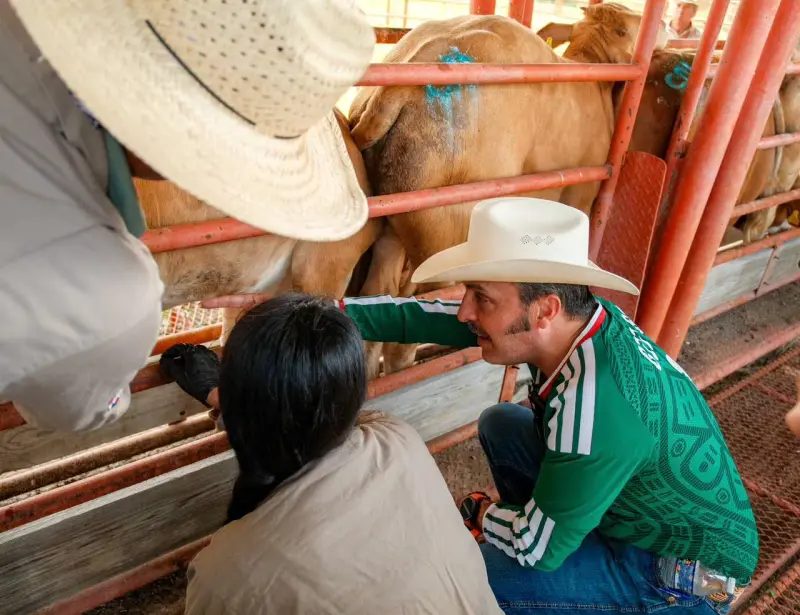 Ponen barrera en NL a enfermedades que merman la producción de ganado