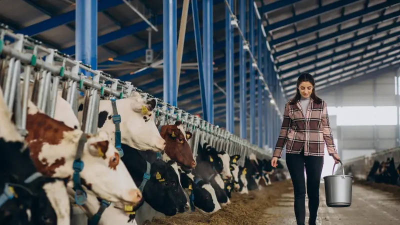 Día Mundial de la Leche: México bebe 130 litros por persona al año, ¿qué hay detrás de cada vaso?