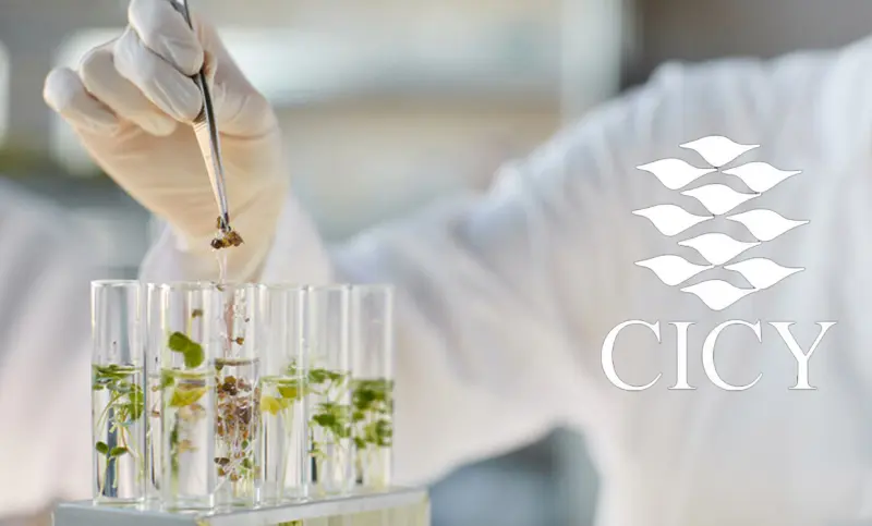 Inauguran unidad de biotecnología en el CICY