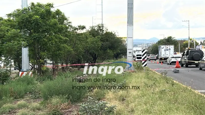Muere atropellada en el Fray Junípero Serra