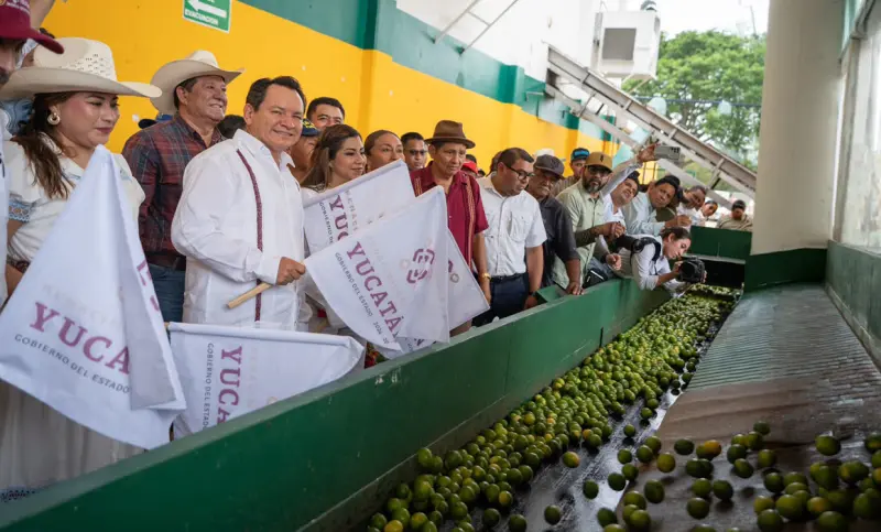 Entregan apoyos a productores de Akil