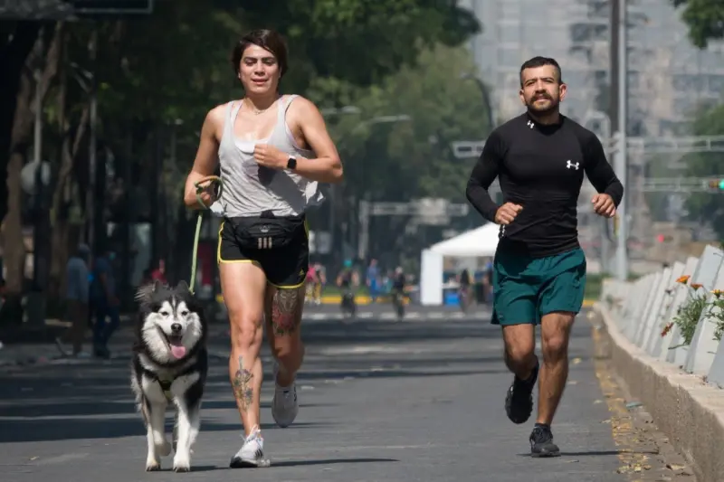Mascotas toman Reforma: paseo dominical tendrá adopciones, veterinarios y reciclaje