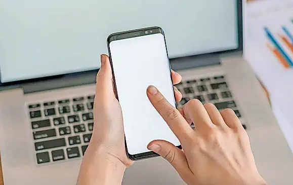 Habilitan portal para identificar líneas asociadas a la CURP