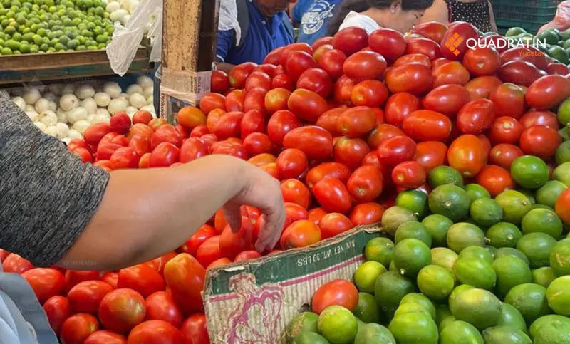 Reduce precio del limón y tomate en Mérida