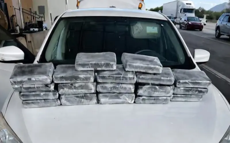 Decomisan cocaína y fentanilo valuados en 500 mil dólares en revisión migratoria de Arizona