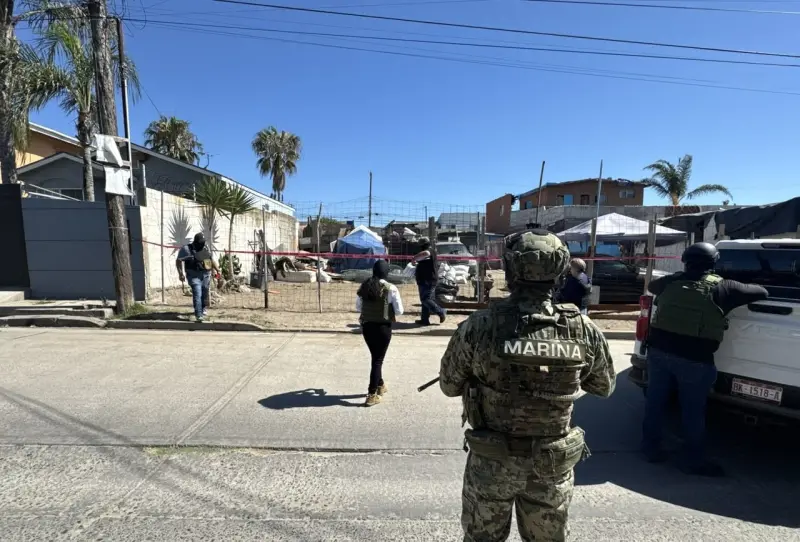 Localizan túnel clandestino de 265 metros en Tijuana; aseguran droga, cartuchos y equipo durante cateo federal