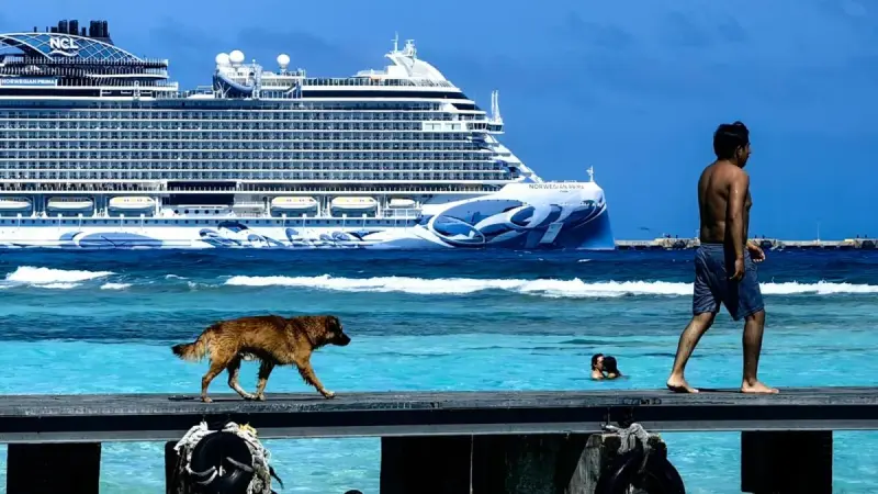 Naufraga el megaproyecto de Royal Caribbean en México, pero los tribunales no han dicho su última palabra