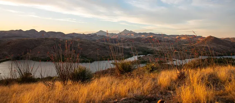 Patagonia, Arizona: naturaleza, historia y encanto en una escapada única