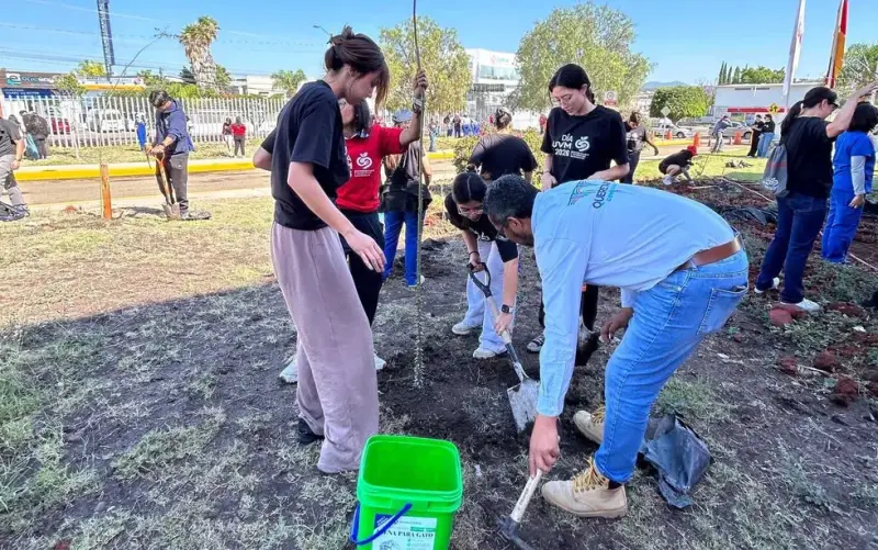 Querétaro llevará jornadas ciudadanas de reforestación a cinco delegaciones