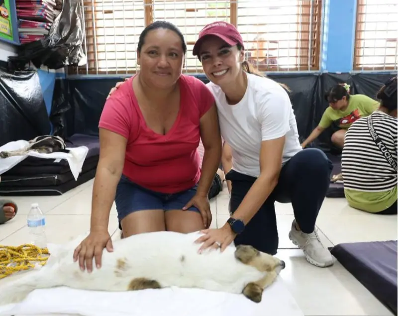 Refuerza Ana Paty bienestar animal con 100 esterilizaciones gratuitas en Cancún