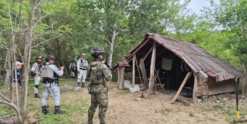 Desmantelan campamento de cacería ilegal en Zihuatanejo