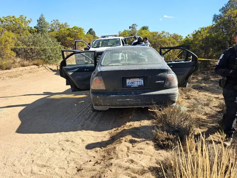 Detienen a presunto integrante de célula criminal tras enfrentamiento armado en Laguna Hanson; aseguran cuatro armas y equipo táctico
