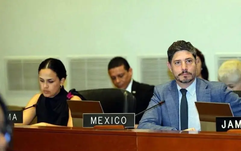 Deja Monroy dirección para América del Sur de la SRE