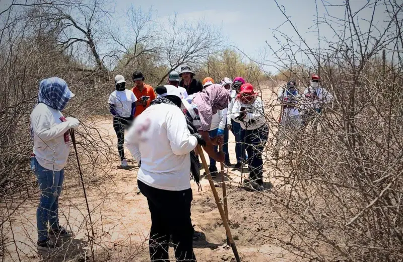 “Nos amenazaron ya con pistola en mano”: padres buscadores relatan los riesgos de salir al campo para encontrar a sus familiares desaparecidos